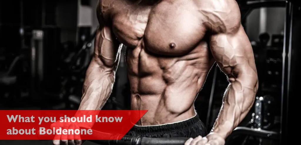 What you should know about Boldenone