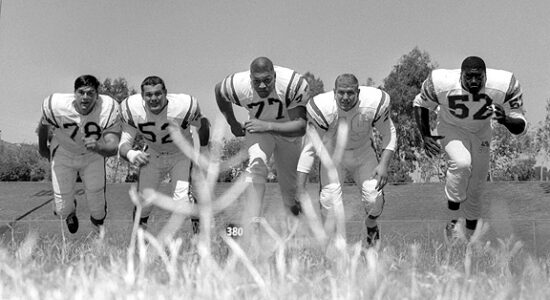 Steroids in Professional Sports