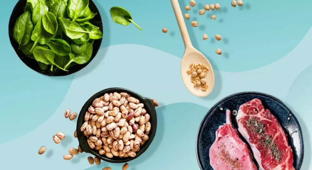 Whey Protein vs Plant Protein