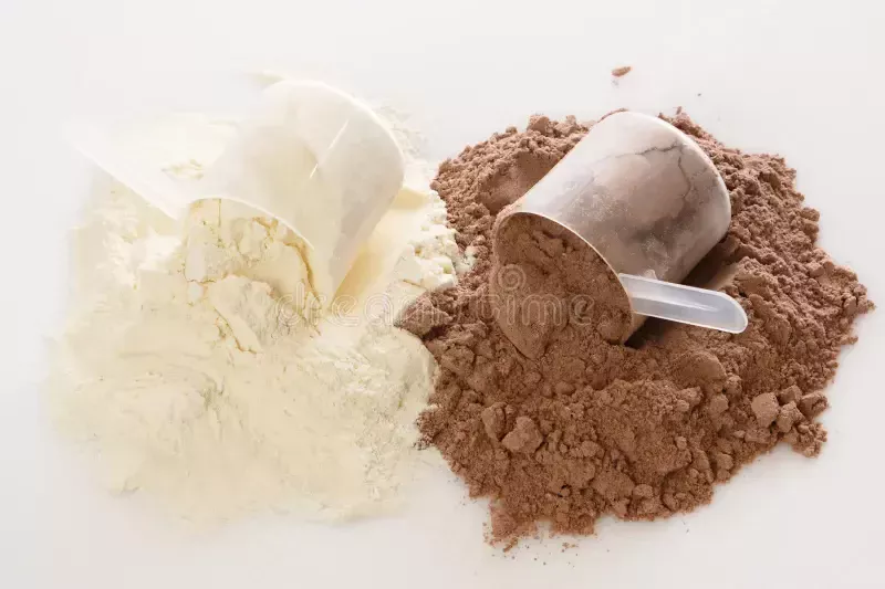 Understanding the Fundamentals: Protein vs. Gainer