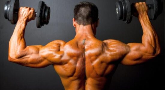 Ultimate Shoulder Workout Guide Best Exercises for Gym and Home