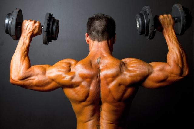 Ultimate Shoulder Workout Guide Best Exercises for Gym and Home
